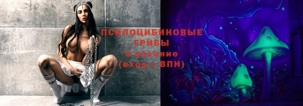 мет Абаза