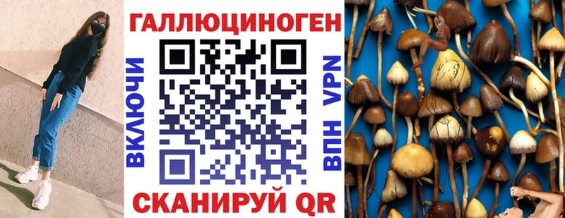 Псилоцибиновые грибы Magic Shrooms  блэк спрут ТОР  Цоци-Юрт 